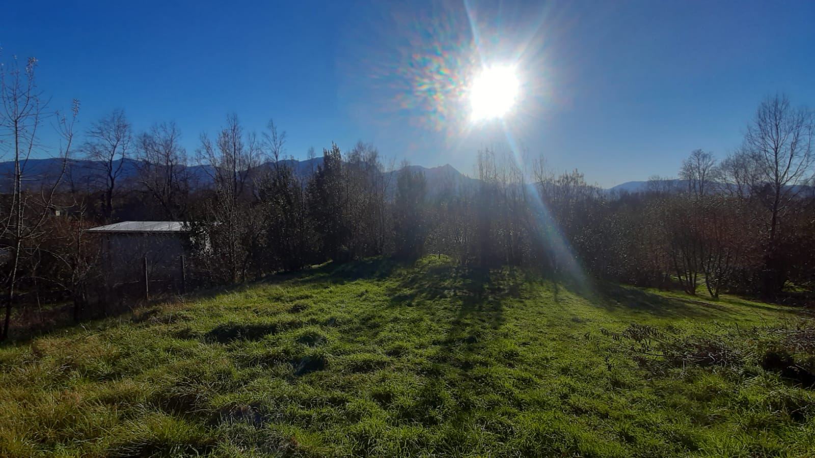 Open meadow with the Andes behind, at Arriagada Estate