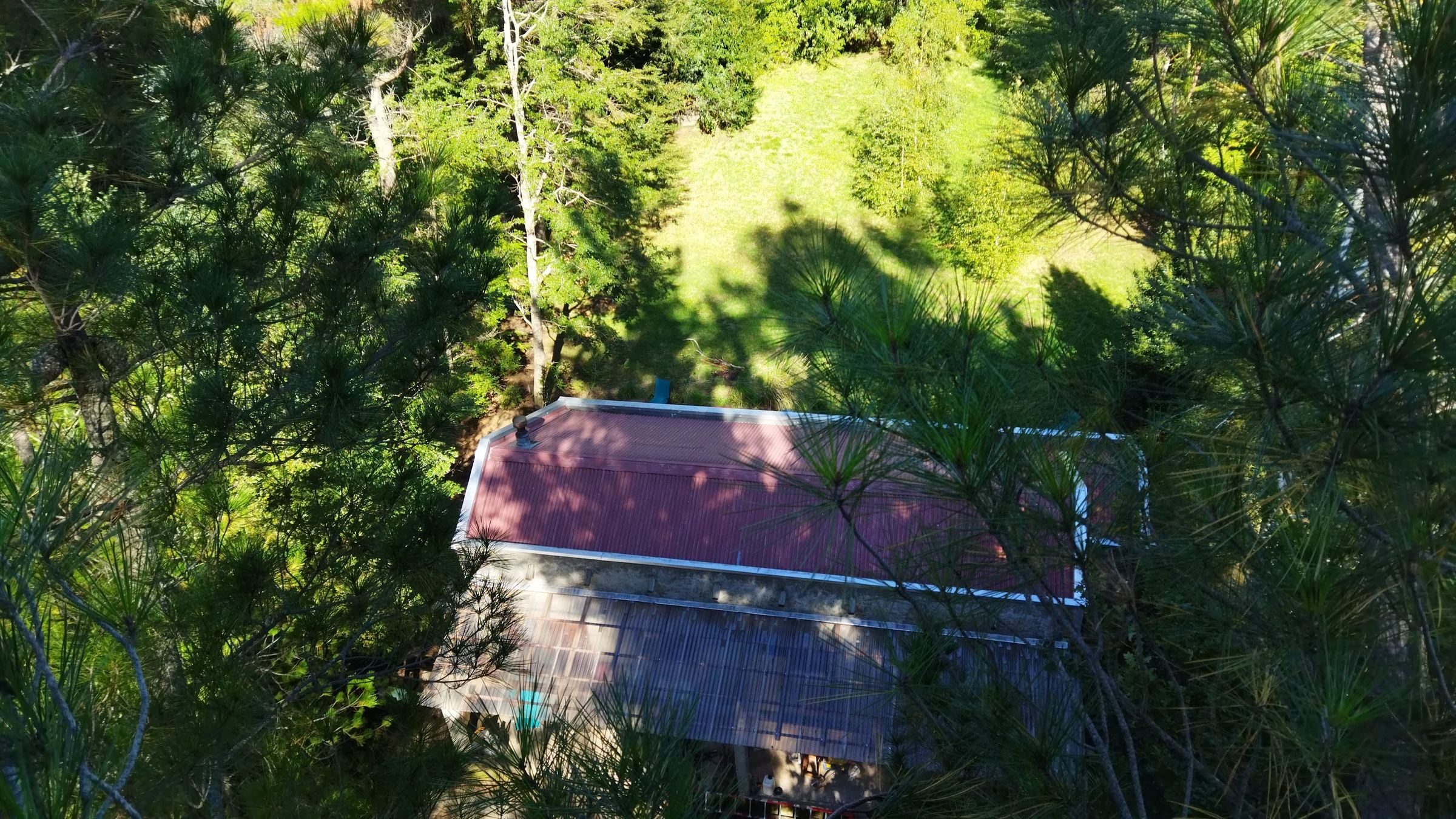 Una cabaña de techo rojo entre los árboles